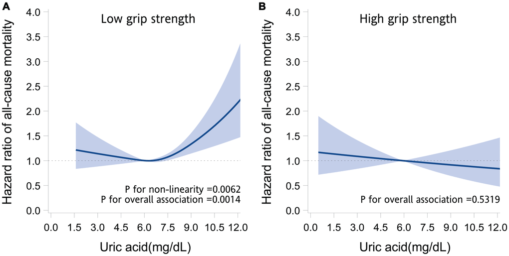 Association between serum uric acid and the risk of death. The graphs present the adjusted hazard ratios of all-cause mortality for serum uric acid levels in older adults with low grip strength (A) and high grip strength (B). The hazard ratios (solid line) and 95% confidence intervals (band) were estimated by fitting restricted cubic spline Cox regression models, in which uric acid was modeled as a continuous variable with splines having 4 knots placed at the 5th, 35th, 65th, and 95th percentiles. Models were adjusted for age, sex, marital status, behavioral characteristics, body mass index, chronic diseases, and use of uric acid–lowering drugs.