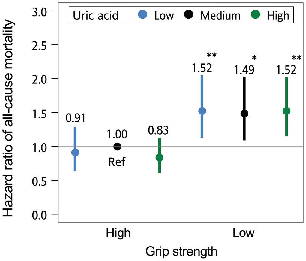 The joint effect of grip strength and serum uric acid level on the risk of death. The hazard ratios of all-cause mortality according to grip strength (high [>22 kg in women; >36 kg in men] and low [≤22 kg in women; ≤36 kg in men]) and serum uric acid levels (low [*P **P 