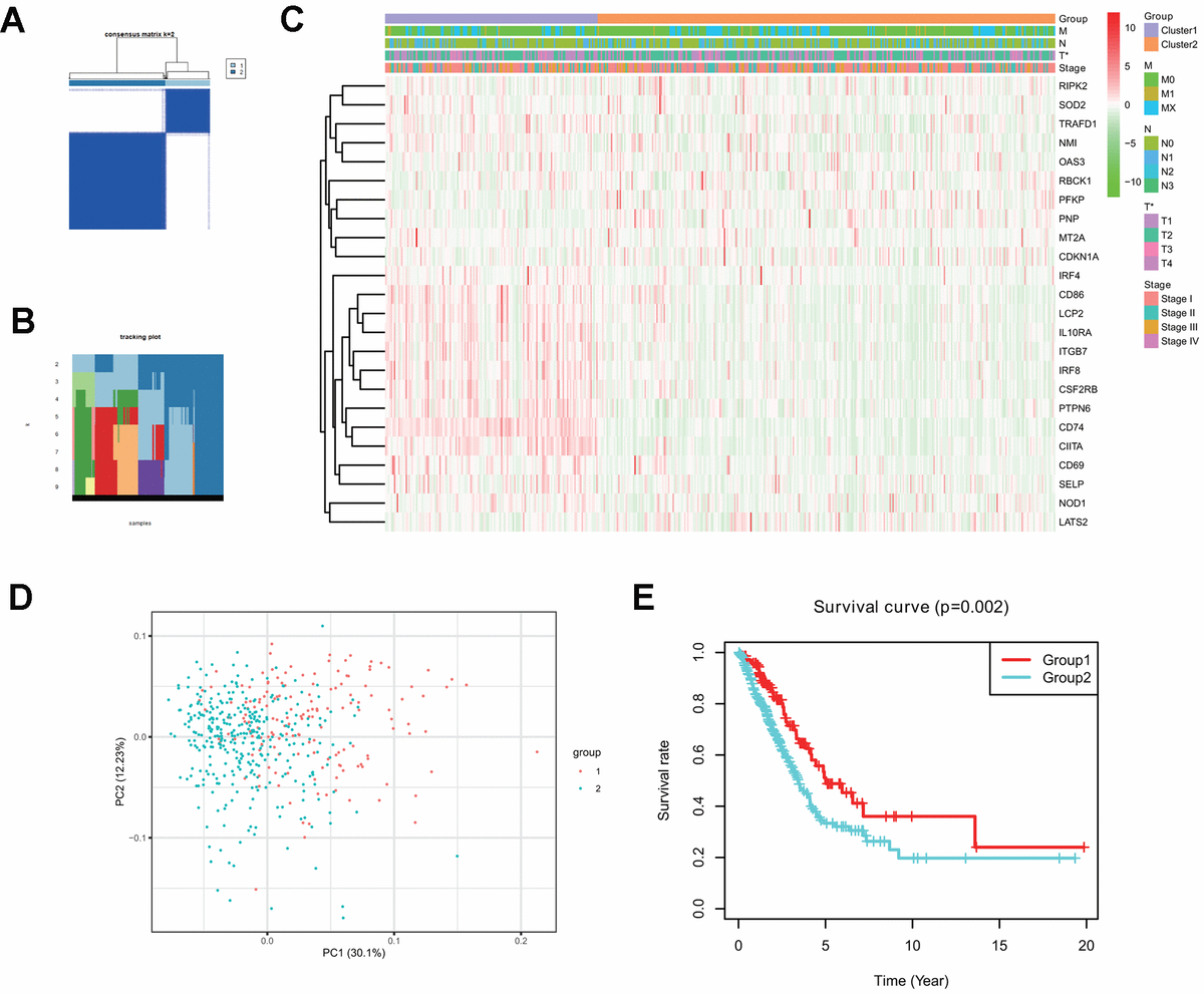 Seven Interferon Gamma Response Genes Serve As A Prognostic Risk