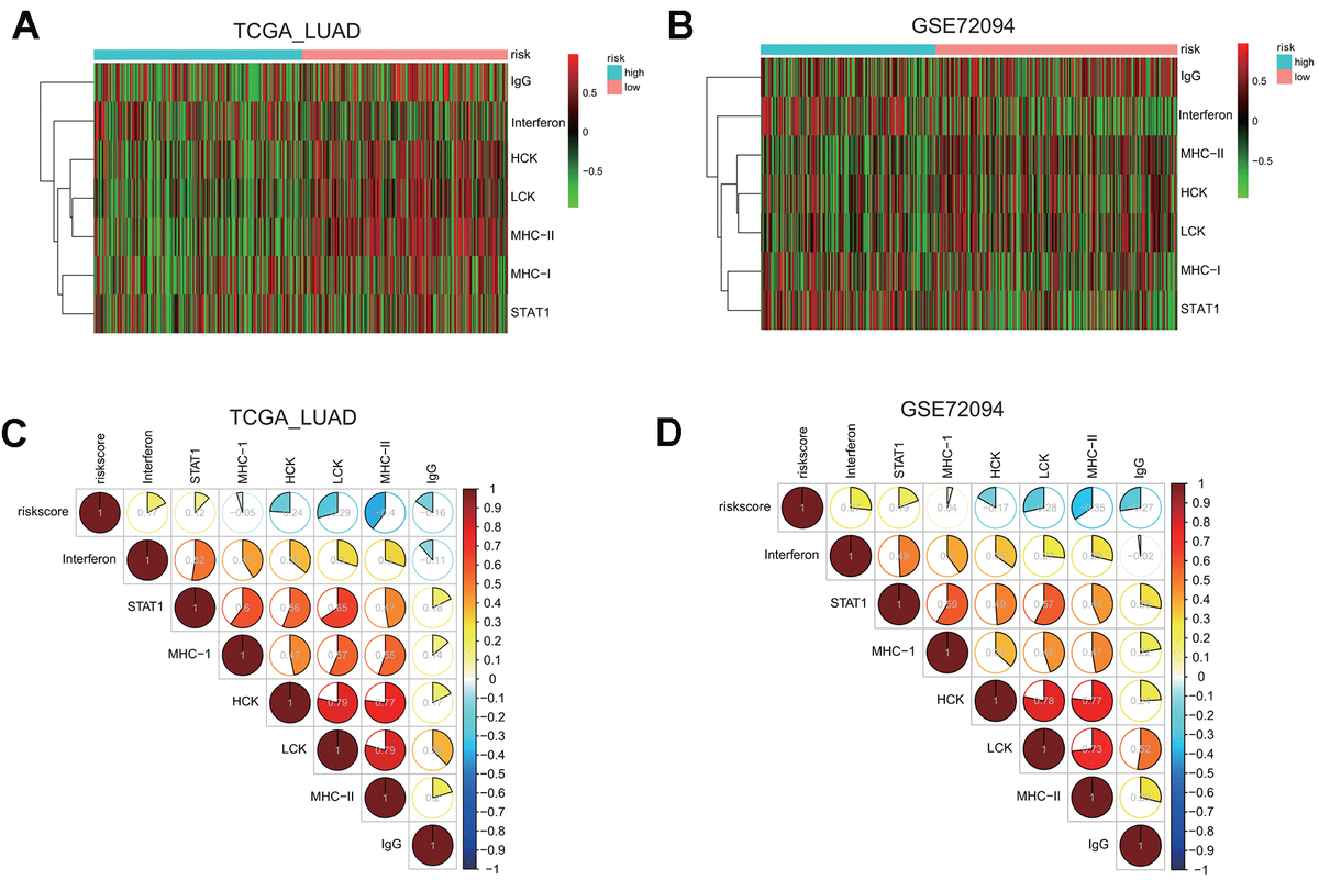 Seven Interferon Gamma Response Genes Serve As A Prognostic Risk