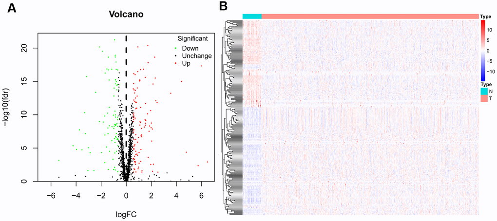 Differentially expressed RBPs in HNSCC and non-tumour samples. The volcano plot (A) and Clustered heatmap (B) of differentially expressed RBPs in HNSCC and normal tissues.
