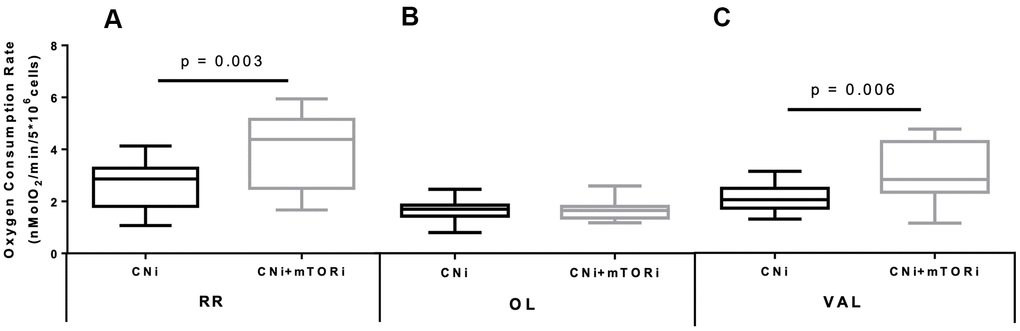 Boxplot representation of the normalized and KCN-insensitive-corrected oxygen consumption rates measured in peripheral blood mononuclear cells (PBMC) from patients treated with calcineurin inhibitor (CNi) or CNi + mTOR inhibitor (CNi+mTORi) under resting conditions (RR, A), in the presence of oligomycin (OL, B) and in the presence of valinomycin (VAL, C). Statistical difference was assessed by unpaired student’s t-test.