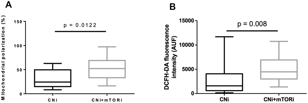 (A) Percentage of peripheral blood mononuclear cells (PBMC) with polarized mitochondria from patients treated with calcineurin inhibitor (CNi) or CNi + mTOR inhibitor (CNi+mTORi). Mitochondrial polarization was detected by flow cytometry analysis of cells stained with JC-10. (B) Cytofluorimetric detection of reactive species in PBMCs from patients treated with CNi or CNi+mTORi, after staining with 2′,7′-dichlorofluorescein diacetate (DCFH-DA); AUF, arbitrary units of fluorescence. Statistical difference was assessed by unpaired student’s t-test.