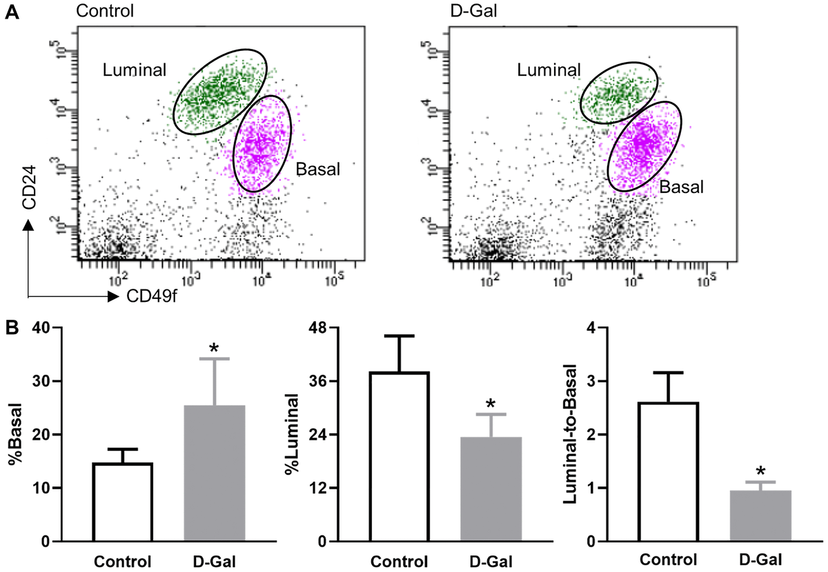 Characterization Of Murine Mammary Stem/progenitor Cells In A D ...