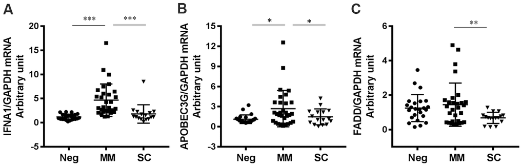 Antiviral genes downregulated in SC patients compared to MM patients. (A) IFNA1 (PB) APOBEC3G (P=0.0100 for MM vs Neg; P=0.0408 for SC vs MM) and (C) FADD (P=0.0054 for MM vs Neg; P=0.0031 for SC vs MM). *P