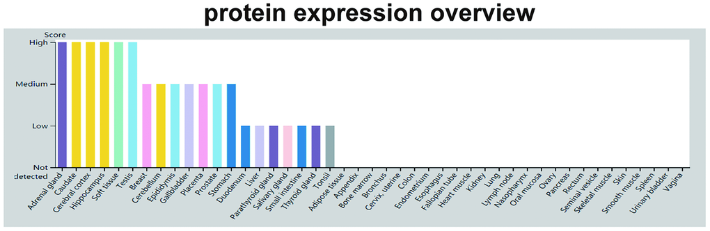 GDF11 protein expression data. The color-coding is based on tissues with common functional features. The mouse-over function shows protein score for analyzed cell types found in a selected tissue (http://www.proteinatlas.org/ENSG00000135414-GDF11/tissue).