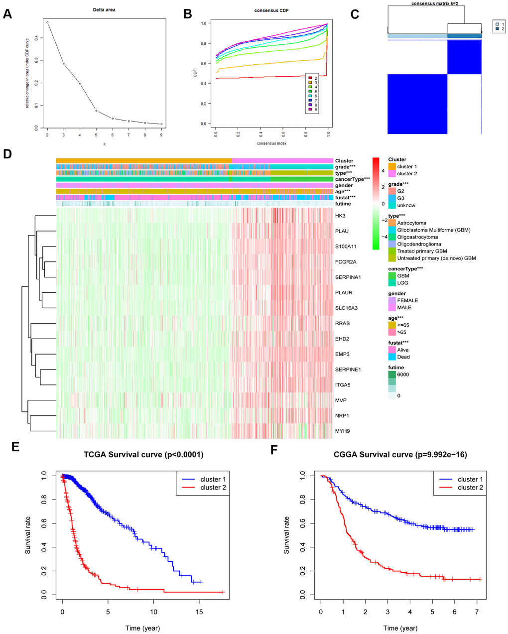 MES-related gene sets could classify the clinical and molecular features of gliomas. (A) Relative change in the area under the CDF curve for k = 2 to k = 9. (B) Consensus clustering CDF for k = 2 to k = 9. (C) Consensus clustering matrix of 650 samples from the TCGA dataset for k = 2. (D) Heat map of MES-related genes between cluster 1 and cluster 2 of the TCGA cohort. (E) Survival analysis of patients in cluster 1 and cluster 2 based on TCGA clinical data. (F) Survival analysis of patients in cluster 1 and cluster 2 based on CGGA clinical data. CDF, cumulative distribution function; ***P 