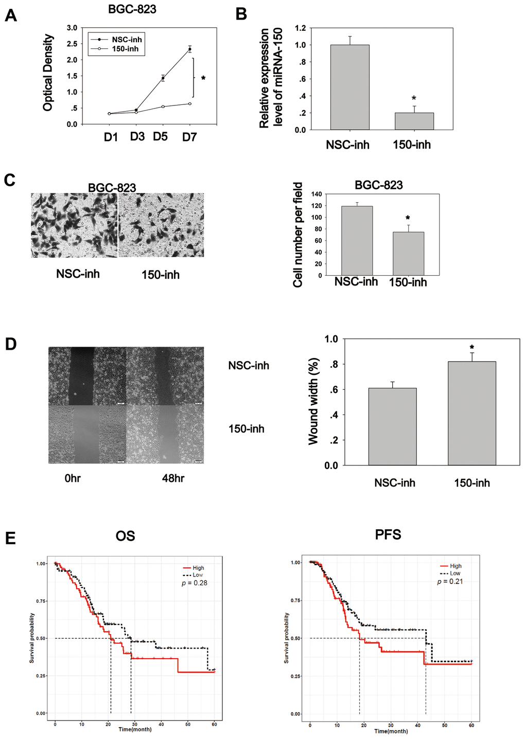 MiRNA-150 plays an oncogenic role in GC in vitro. (A) MiRNA-150 enhanced cell proliferation. Cell proliferation was determined in BGC-823 cells using a CCK8 assay. (B) The expression level of miRNA-150 in BGC-823 cells decreased successfully after transfection with miRNA-150 inhibitors. (C) MiRNA-150 boosted cell migration. The migratory ability of BGC-823 cells was assessed using a Transwell assay. Five fields in each well were randomly chosen to measure migration. The experiment was repeated three times. (D) MiRNA-150 inhibition impaired the migration ability of BGC-823 cells. Five fields in each wound were randomly chosen to measure migration. The experiment was repeated three times. (E) Overall survival (OS) and progression-free survival (PFS) in groups with high and low expression of miRNA-150 were analyzed using a Kaplan–Meier survival analysis of the ATGC data of patients with stage III and IV GC. *p