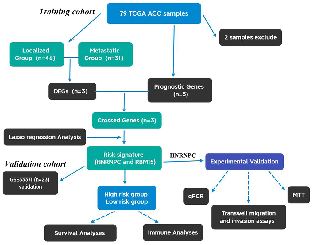 The flow chart of present study. ACC, Adrenocortical carcinoma; DEGs, differentially expressed genes.