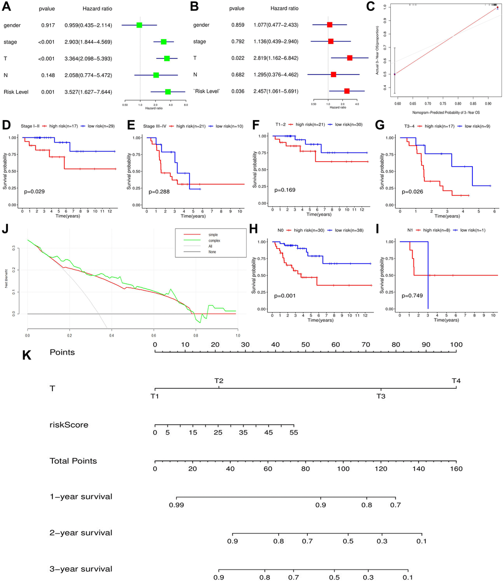 The effect of m6A-related risk signature on ACC prognosis in TCGA cohort. (A) The results of cox univariate prognostic analysis. (B) The results of multivariate prognostic analysis. (C) The calibration curves. (D–I) The prognostic differences of ACC patients with the same clinical subgroups. (J) The DCA curve of m6A risk signature. ‘Simple’ curve (red) represents the prognostic model composed of age and clinical stage. ‘Complex’ curve (green) represents the prognostic model composed of age, clinical stage and m6A risk score. (K) The nomogram is used to predict the OSR of ACC patient at 1, 2, 3 year. DCA, decision curve analysis.