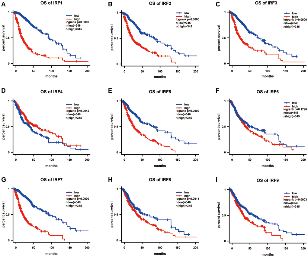 The prognostic value of IRF family members in predicting overall survival of glioma patients (OS). The survival curves for (A) IRF1, (B) IRF2, (C) IRF3, (D) IRF4, (E) IRF5, (F) IRF6, (G) IRF7, (H) IRF8, and (I) IRF9 in glioma using the Kaplan-Meier method. *P 