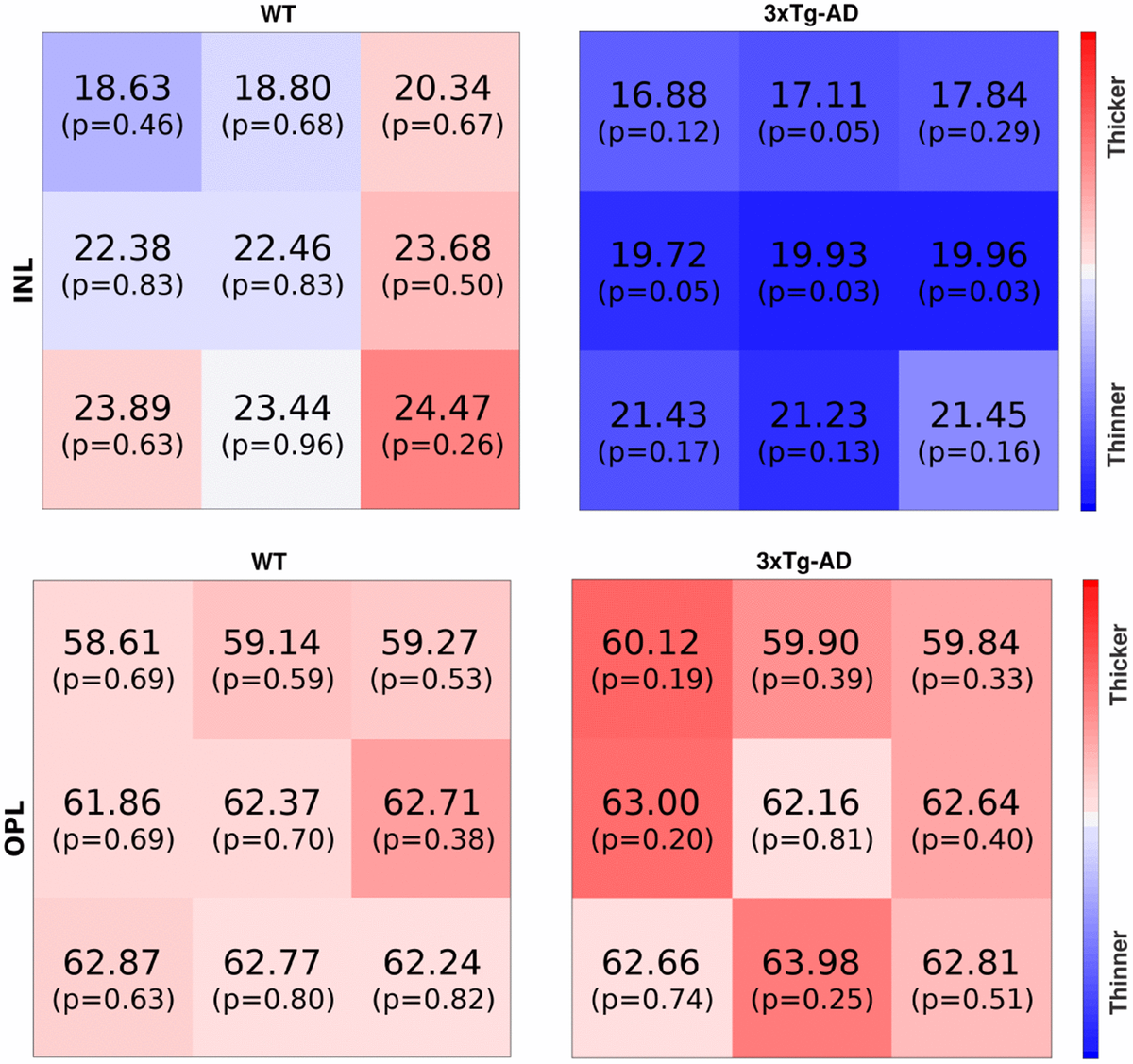 Longitudinal Normative OCT Retinal Thickness Data For Wild-type Mice ...