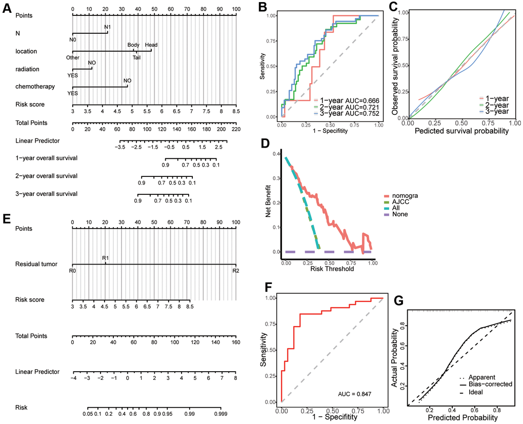 Creation of a predictive nomogram in The Cancer Genome Atlas (TCGA) dataset. (A) A prognostic nomogram predicting 1-, 2-, and 3-year overall survival of patients with pancreatic cancer. (B) Time-dependent receiver operating characteristic (ROC) curves for 1-, 2-, and 3-year overall survival predictions of the nomogram. (C) Calibration plot for the validation of the prognostic nomogram. (D) The nomogram predicting OS were compared against AJCC stage by DCA. (E) A predictive nomogram predicting drug reaction in pancreatic cancer. (F) ROC curve of the nomogram for the prediction of chemotherapy resistance. (G) Calibration plot for the validation of the chemotherapy resistance predictive nomogram.