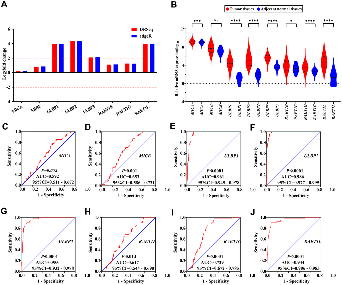 Investigation and verification of the clinical significance and ...