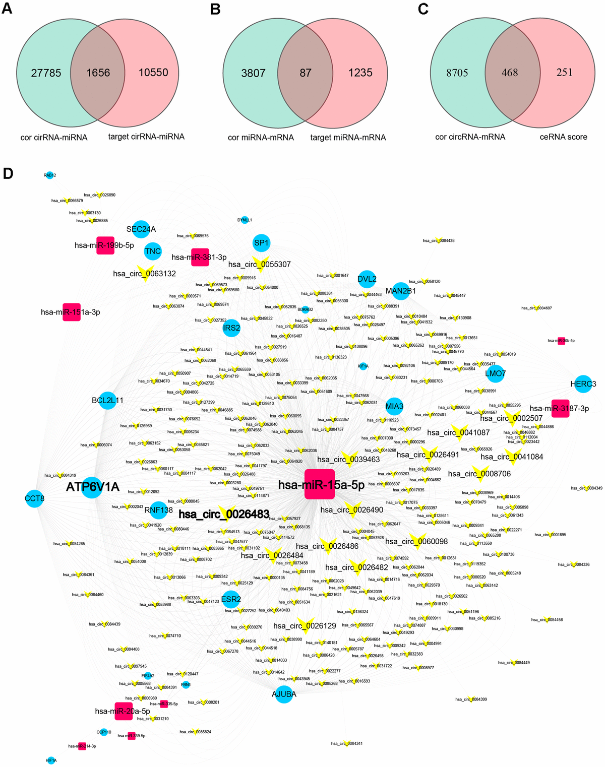 Construction And Topological Analysis Of An Endometriosis-related ...