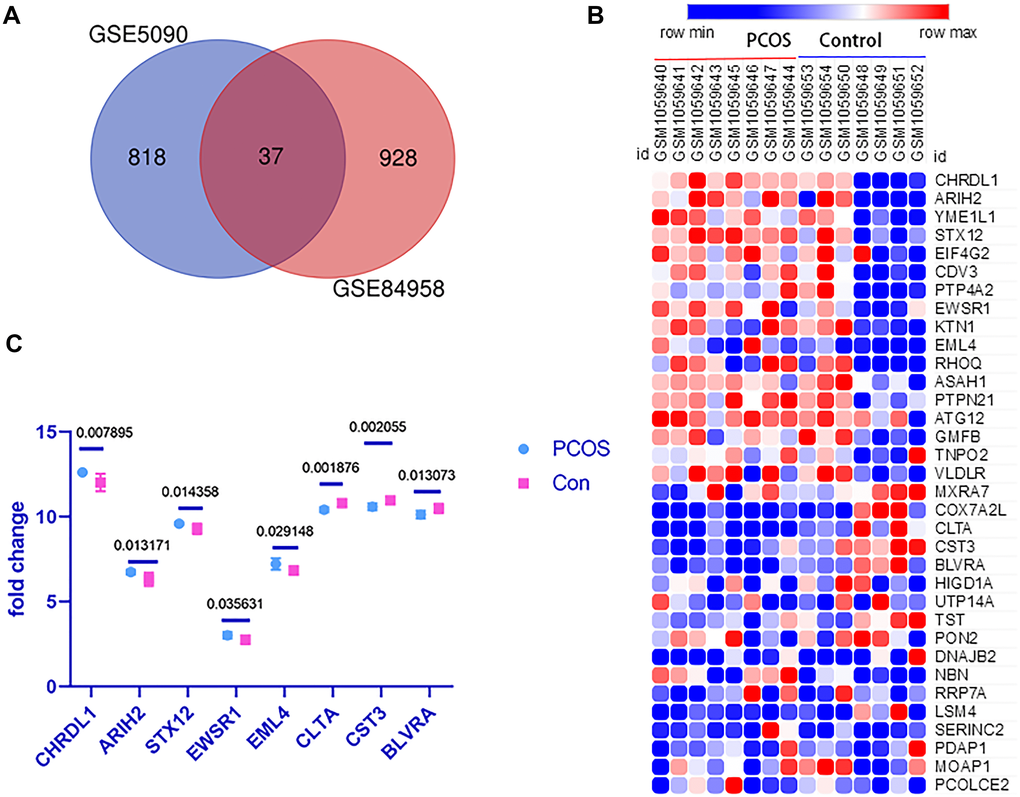 The DEGs between obesity PCOS cases and age & BMI matched healthy controls. (A) The Venn diagram of common genes between GSE5090 and GSE84958. (B) The expression heatmap of the detected DGEs in dataset GSE43264. (C) The expression pattern of the 8 significantly differentially expressed genes.