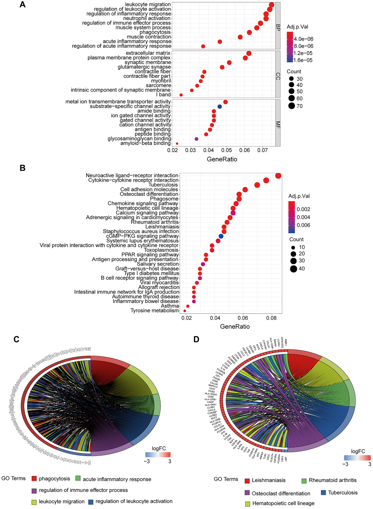 Identification Of Key Pathways And Genes In Carotid Atherosclerosis