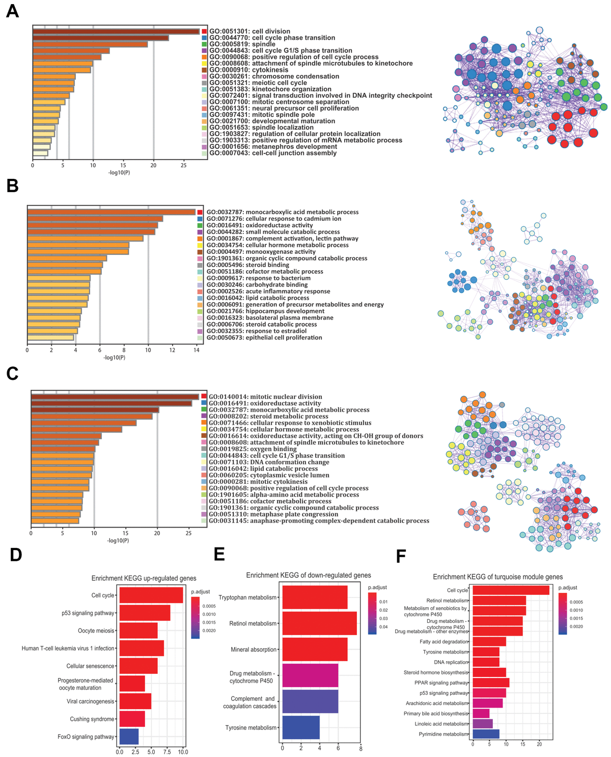 Integrative Analysis Identifies Key MRNA Biomarkers For Diagnosis ...