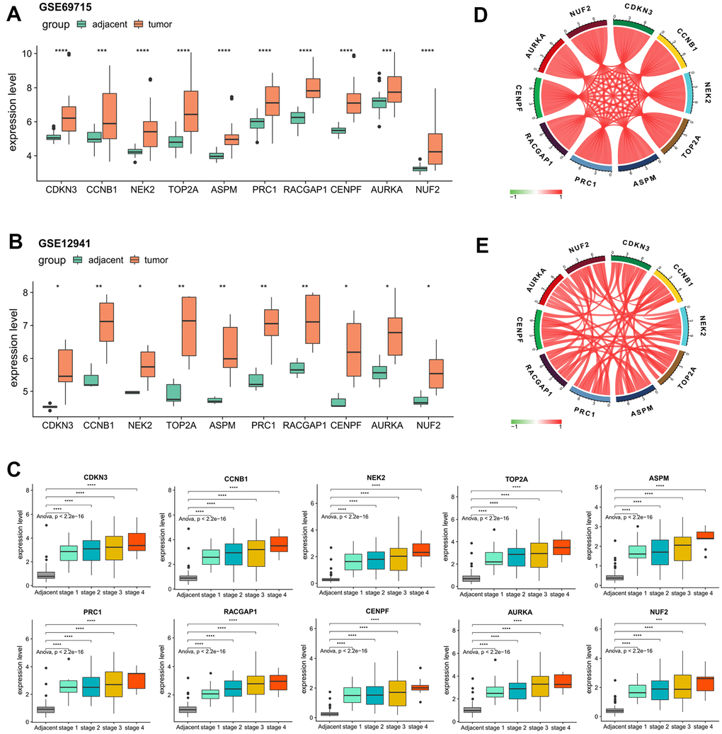 Confirmation of the abnormal expression of the 10 selected hub genes and their expression correlations. (A, B) Two external datasets (GSE69715 and GSE12941) to validate the increased expression levels of the hub genes in tumors compared with adjacent normal tissues. (C) Internal validation by ICGC-LIRI-JP dataset to verify the elevated levels of the hub genes concerning tumor stage. (D, E) Strong correlations among all of the hub genes according to the ICGC-LIRI-JP and TCGA-LIHC datasets. *P P P P 