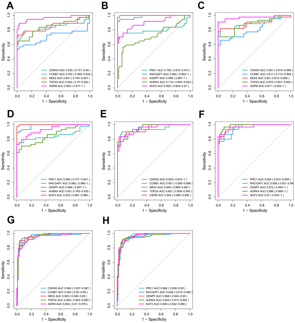 Validation of the diagnostic efficiency for each of the 10 hub genes. (A–F) Performance of the 10 hub genes in discriminating HCV-HCC from normal control based on GSE69715 (A, B), GSE107170 (C, D), and TCGA-LIHC (E, F). (G, H) Potential utilities of the hub genes for early tumor detection based on ICGC-LIRI-JP. HCV-HCC, HCV- associated HCC.