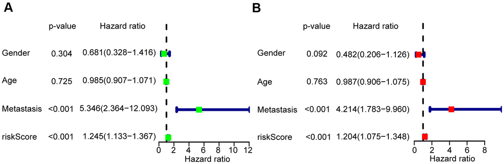 Risk score based on the glycolysis-related risk signature could be an independent prognostic factor. (A) A forest plot of univariate cox regression analysis of risk score and different clinical feature in OS. (B) A forest plot of multivariate cox regression analysis of risk score and different clinical feature in OS.