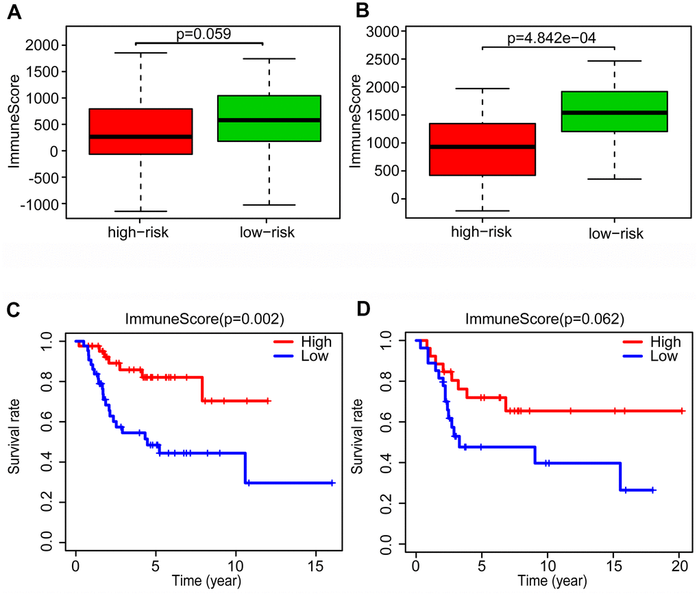 Changes of tumor microenvironment of osteosarcoma patients based on glycolysis-related risk signature. Immune score was calculated between high-risk and low-risk group in training cohort (A) and validation cohort (B). Kaplan-Meier survival curve of overall survival rate among high-risk and low-risk group in training cohort (C) and validation cohort (D).