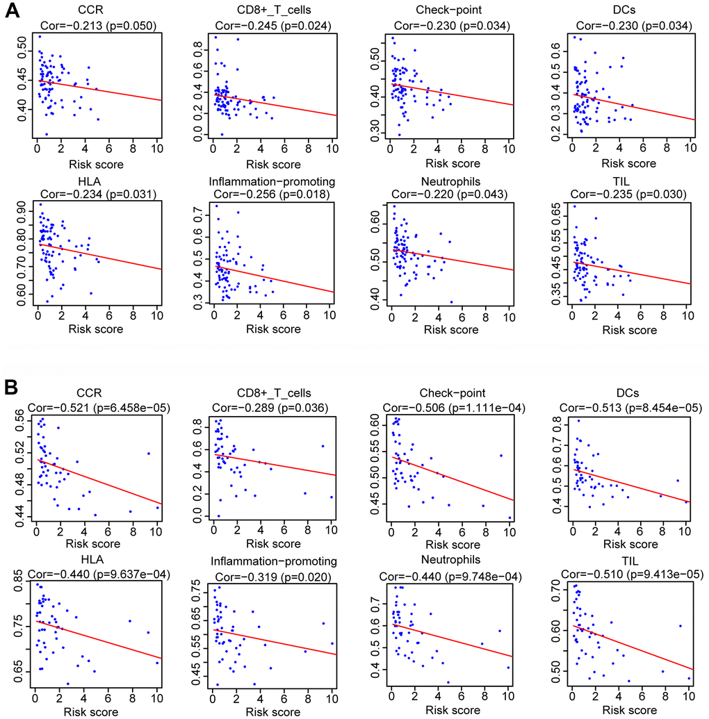 Analysis of the correlation between risk scores and the immune gene sets. Spearman rank analysis was used to determine the association between risk score and the immune gene sets in training cohort (A) and validation cohort (B).