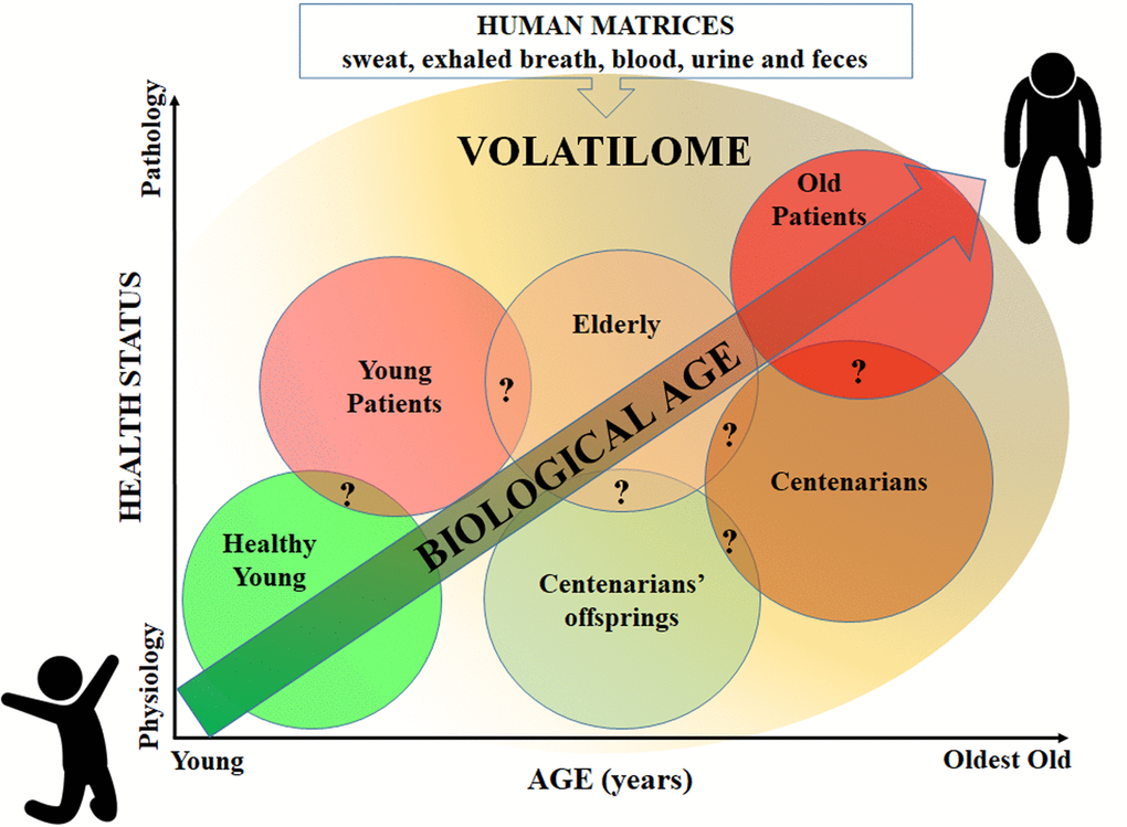 vocs-profile-can-discriminate-biological-age-aging