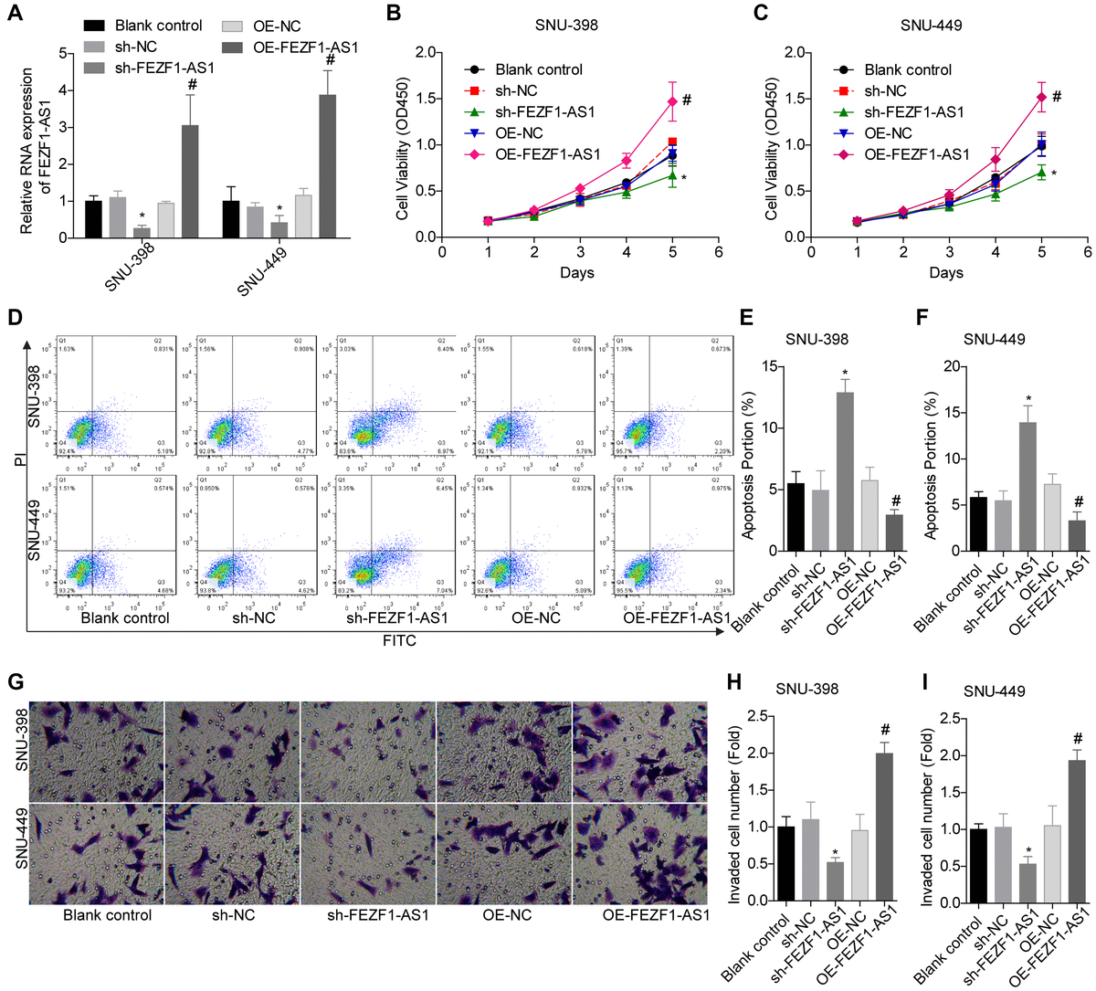 Long non-coding RNA FEZF1-AS1 promotes the proliferation and metastasis ...