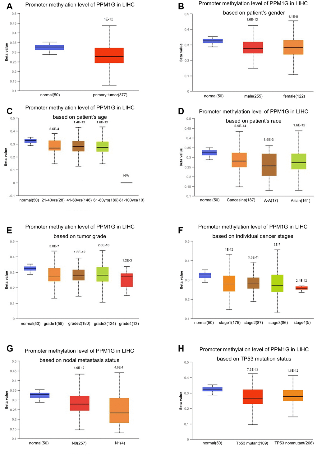 Relationship of PPM1G promoter methylation level with clinical characteristics in LIHC (UALCAN). Box-whisker plots showing the relationship between PPM1G promoter methylation in LIHC (different color plots) and normal (blue plots) tissues and patient characteristics: (A) normal vs. primary tumor, (B) patient sex, (C) patient age, (D) patient race, (E) tumor grade, (F) individual cancer stage, (G) nodal metastasis status, and (H) TP53 mutation status. The beta value indicates the level of DNA methylation (ranging from 0 (unmethylated) to 1 (fully methylated)).