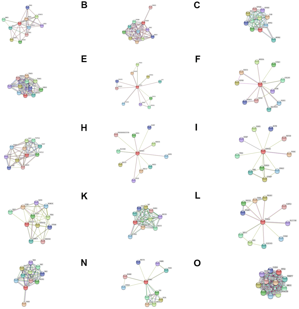Protein-protein (PPI) interaction networks for (A) HOXA11, (B) HOXD9, (C) LHCGR, (D) MAP3K1, (E) SOX12, (F) SOX5, (G) SOX17, (H) SPATA21, (I) SPATS2, (J) SOHLH1, (K) ADCYAP1R1, (L) TYRO3, (M) AXL, (N) SPAM1, and (O) MTA3.