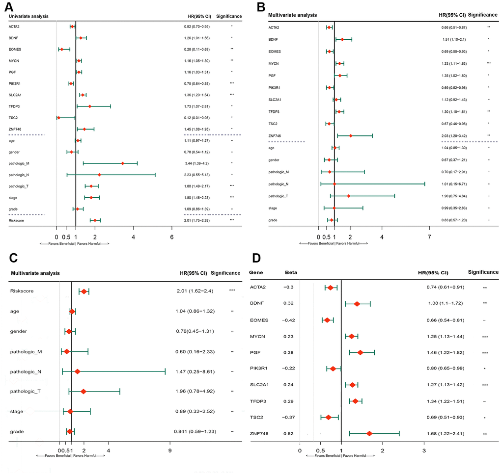 Development and validation of epithelial mesenchymal transition 