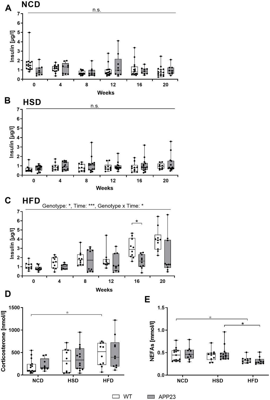 Analysis of basic metabolic parameters in blood of fed mice. (A–C) Plasma insulin measured in NCD-fed (A), HSD-fed (B) and HFD-fed (C) mice at baseline (week 0) and after 4, 8, 12, 16, and 20 weeks of diet. Corticosterone levels (D) and NEFA levels (E) measured in blood plasma obtained upon sacrifice after 20 weeks of diet. Data are represented as box (25th to 75th percentile) with median and whiskers from minimum to maximum. Black asterisks indicate significant differences between groups (*: pA–C) and nonparametric multiple contrast Tukey-type test (D, E). nNCD WT=15, nNCD APP23=9, nHSD WT=10, nHSD APP23=14, nHFD WT=10, nHFD APP23=10.