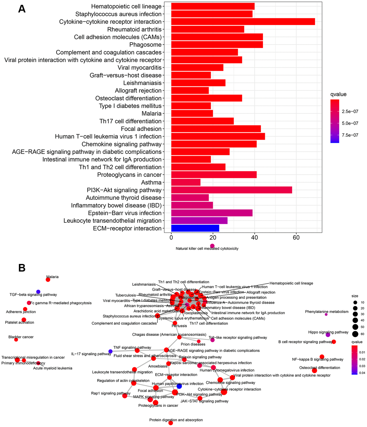 Heatmap And Pathway Enrichment Analysis Of Degs A Keg