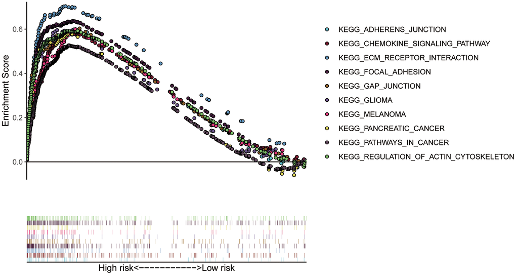 KEGG pathway enrichment analysis of signature genes. ECM, extracellular matrix.