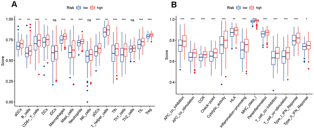 Comparison of ssGSEA scores between risk groups in the TCGA-BC cohort. (A) Scores of 16 immune cell types. (B) Functions enriched in the 7-ZNF-gene signature. CCR, cytokine-cytokine receptor; ns, not significant; *, PPP