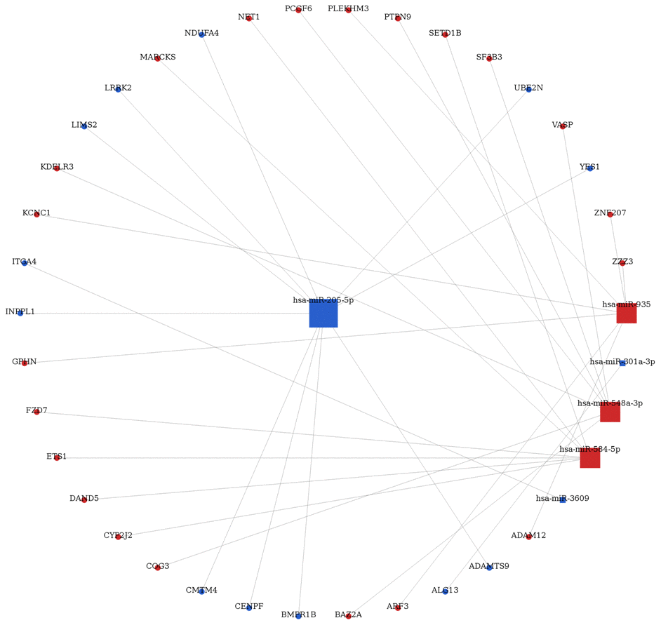 Differently expressed miRNAs-mRNA interaction network in breast cancer.
