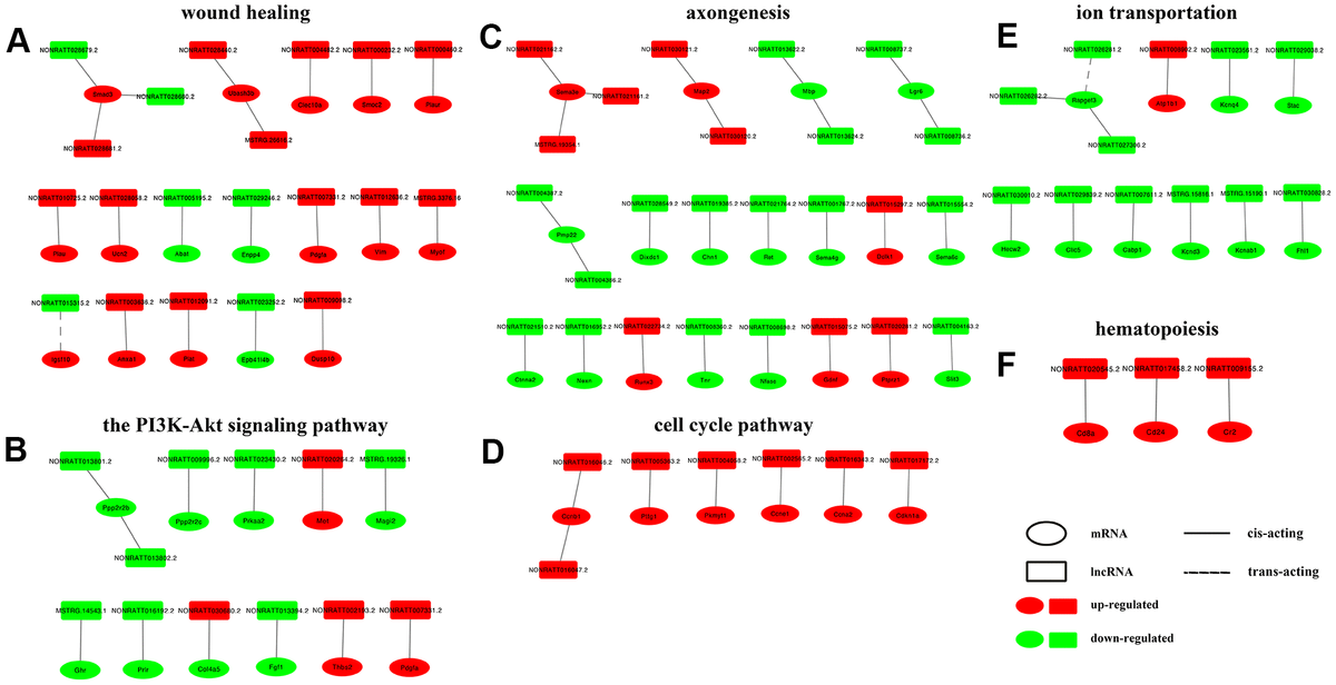 Integrated Analysis Of Long Noncoding Rnas And Mrna Expression Profiles