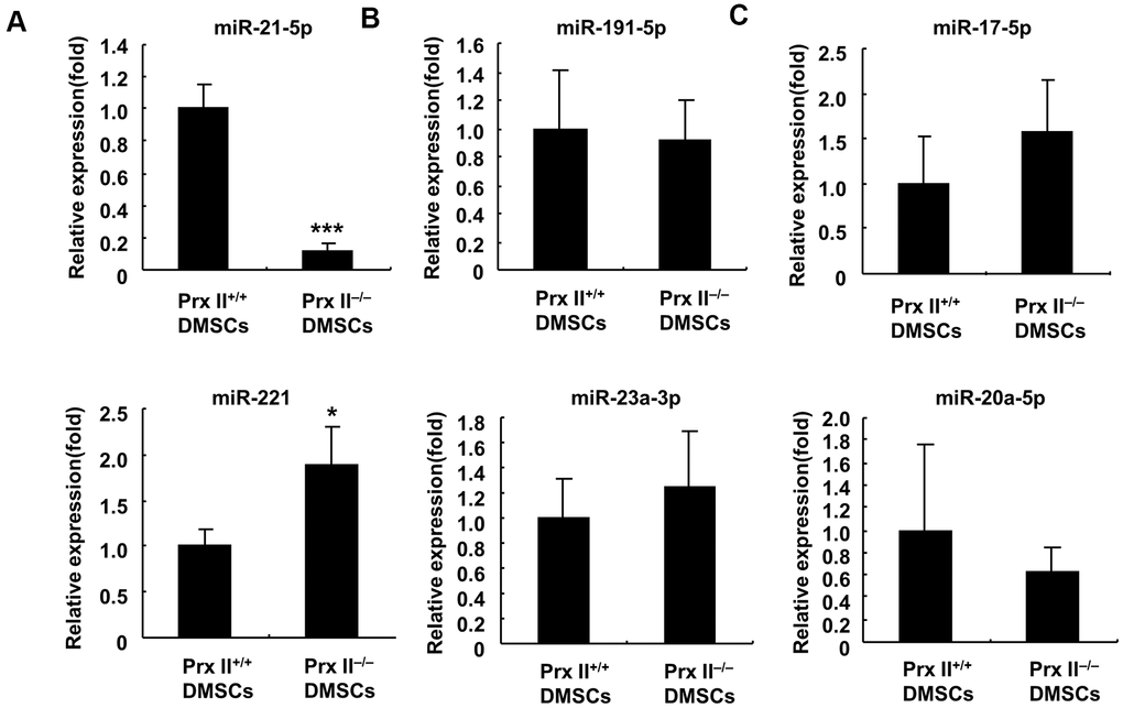 Analysis of miRNA expression in Prx II+/+ DMSCs and Prx II−/− DMSCs by RT-PCR. (A) Expression levels of miR-21-5p and miR-221. (B) Expression levels of miR-23a-3p and miR-191-5p. (C) Expression levels of miR-20a-5p and miR-17-5p. All data shown represent the mean ± SD (n = 6).