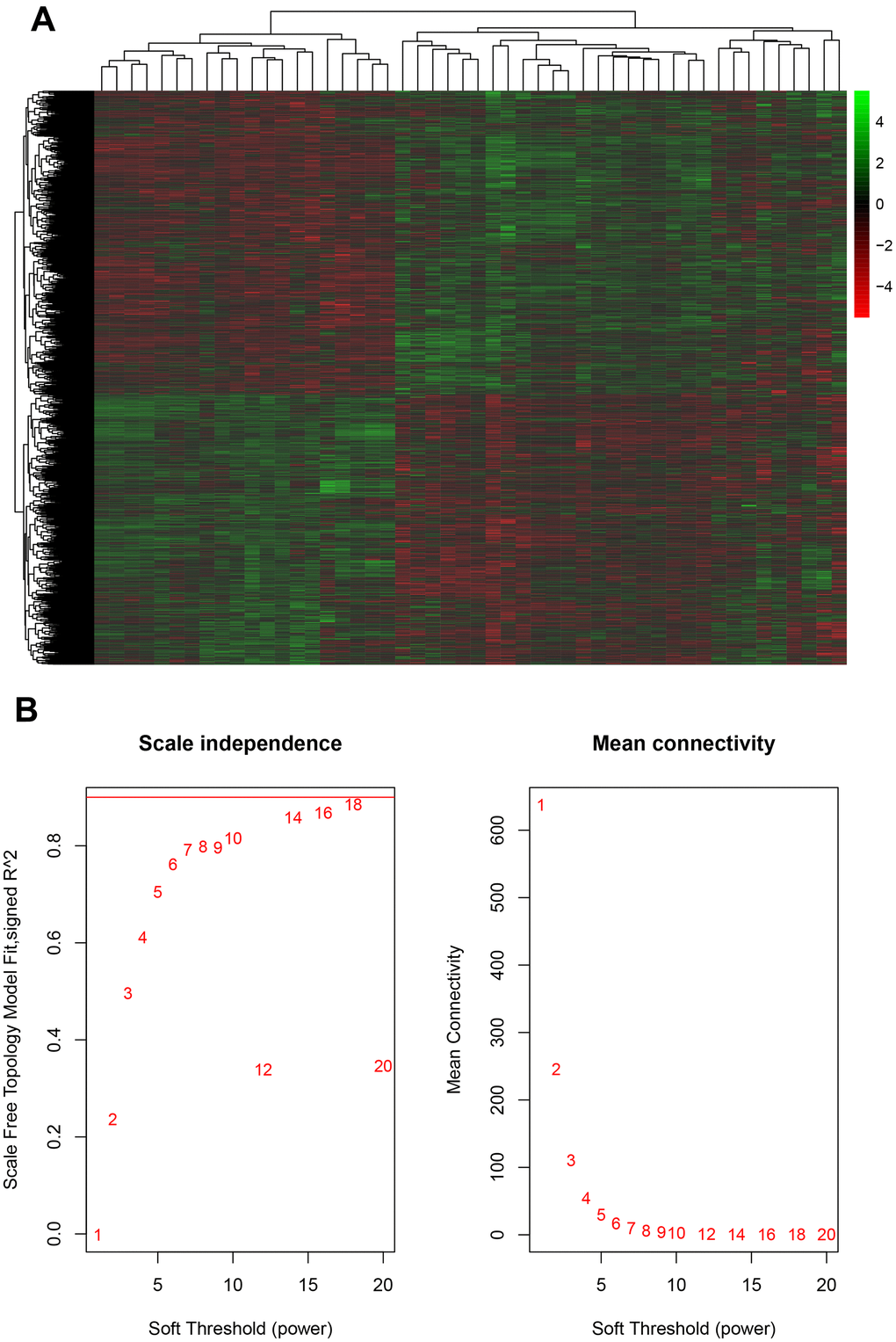 Evaluation of mRNA and glioma progression. (A) Analysis of the public database GSE43378 identified 1254 down-regulated and 1587 up-regulated potential targets of circITGA7, and (B) identified the appropriate power value (soft threshold).