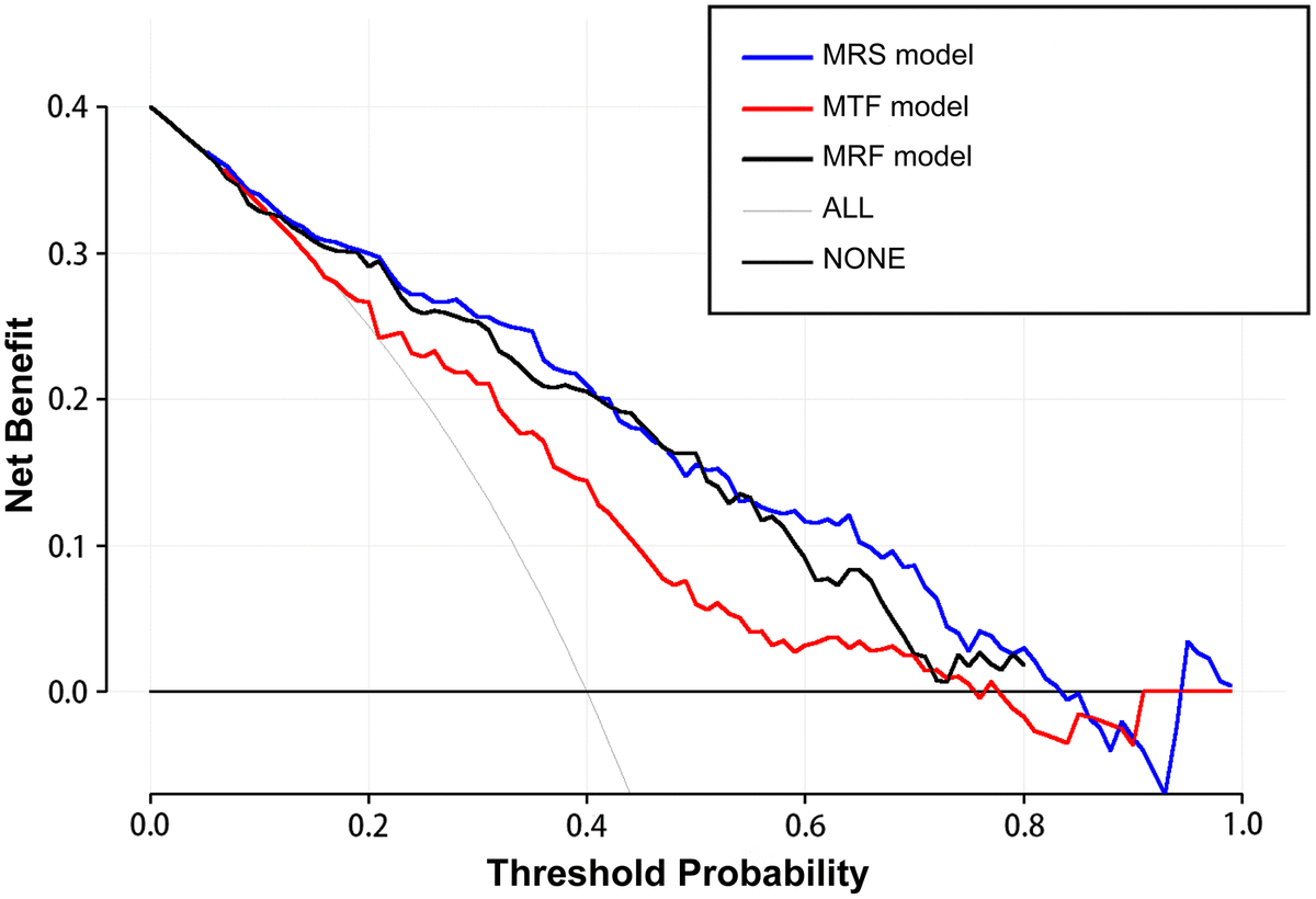 Morphology-based radiomics signature: a novel determinant to identify ...