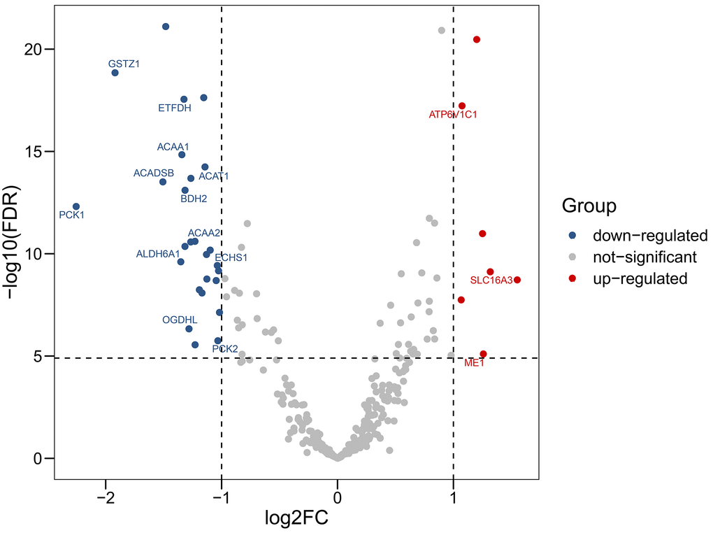 Volcano plot showing differentially expressed genes in aerobic respiration between hepatocellular carcinoma and normal tissues. Red dots represent significantly up-regulated genes, blue dots represent significantly down-regulated genes, and gray dots represent no differences between genes.