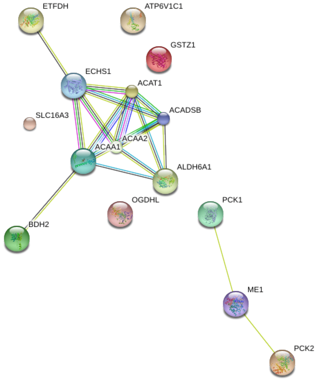 Protein-protein interaction (PPI) network of 15 differentially expressed genes in aerobic respiration.