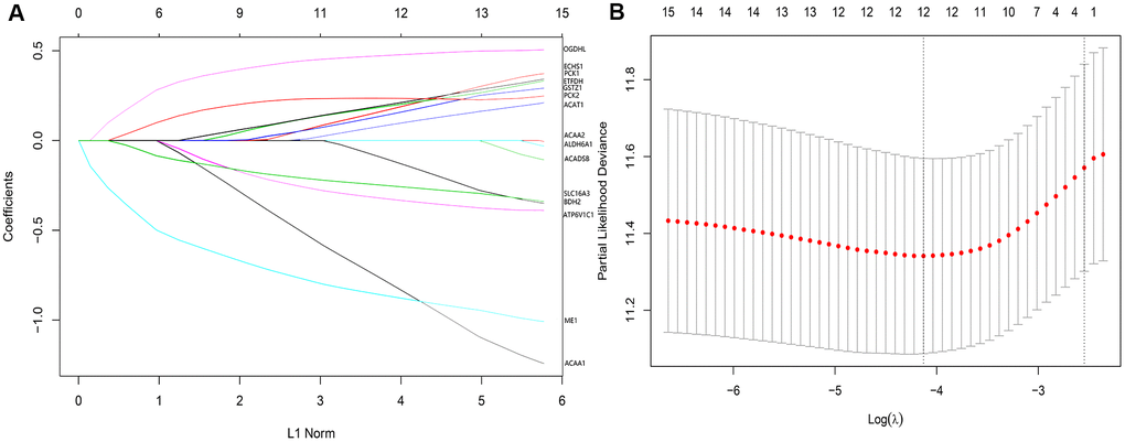 (A) LASSO coefficient profiles of the 12 genes of high prognostic value. (B) The optimal values of the penalty parameter were determined by 10-fold cross-validation.