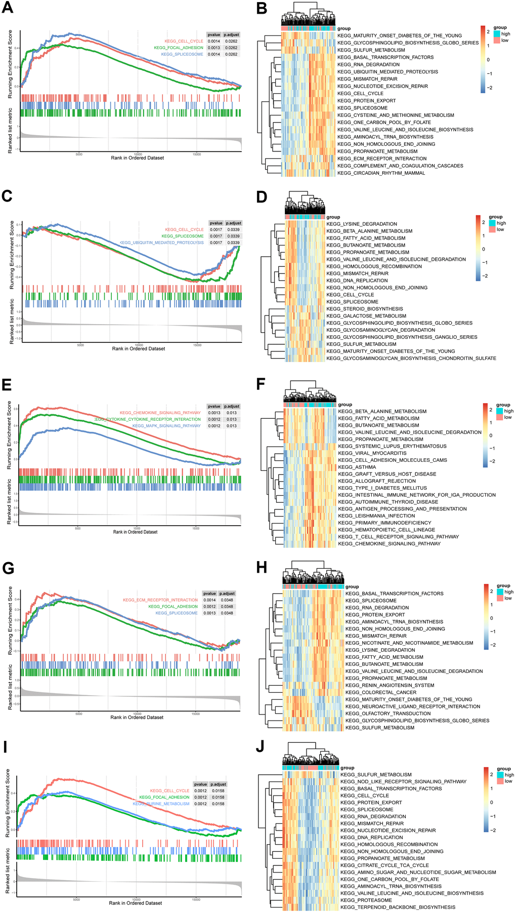 GSEA and GSVA of hub genes in the PAH. (A, C, E, G, I) Top 3 KEGG pathways in the high-expression group of single hub genes. (A) ANGPT2; (C) CSF3R; (E) CXCL9; (G) NT5E; (I) FGF7. (B, D, F, H, J) GSVA-derived clustering heatmaps of top 20 differentially expressed pathways for each hub gene. (B) ANGPT2; (D) CSF3R; (F) CXCL9; (H) NT5E; (J) FGF7.