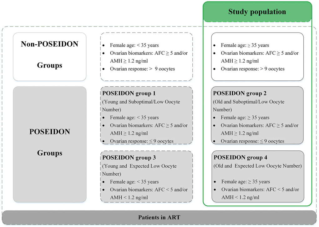 Patient-oriented strategies encompassing individualized oocyte number (POSEIDON) criteria of low prognosis patients in assisted reproductive technology (ART). Notes: Patients in the green table are the study population. AFC, antral follicle count; AMH, anti-Müllerian hormone.