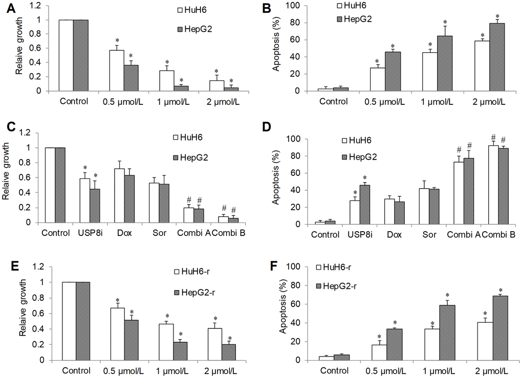 The inhibitory effects of pharmacological inhibition of USP8 in HCC in vitro. (A) USP8 inhibitor (USP8i) at 0.5, 1 and 2 μmol/L significantly inhibits growth (A) and induces apoptosis (B) in HCC cells. Combination of USP8i with doxorubicin or sorafenib further significantly inhibits further proliferation (C) and induces more apoptosis (D) in HCC cells than single drug alone. USP8i inhibits proliferation (E) and induces apoptosis (F) in HuH6-r and HepG2-r cells. Doxorubicin at 0.1 μM and sorafenib at 0.5 μM were used. Doxorubicin and sorafenib were used in Combi1 and Combi2, respectively. Cell proliferation and apoptosis were determined after 3 days treatment. *p
