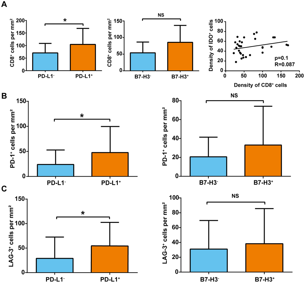 Association of CD8+, PD-1+, and LAG-3+ cell density and immune-checkpoint marker expression in sHCC. (A) Association of CD8+ T-cell density and immune-checkpoint marker expression. *pB) PD-1+ cell density (cells/mm2) in tumors with and without PD-L1 and B7-3 expression. *pC) LAG-3+ cell density (cells/mm2) in tumors with and without PD-L1 and B7-3 expression. *p