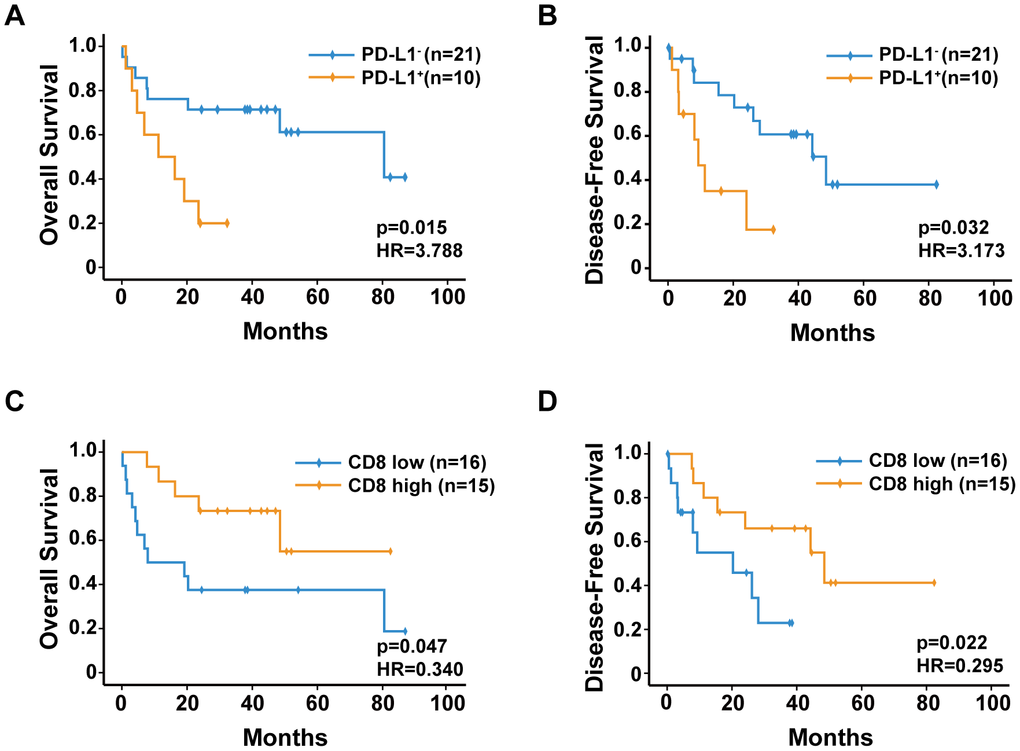 Kaplan-Meier analysis of overall survival and disease-free survival for (A, B) PD-L1 expression, (C, D) CD8+ T-cell density.