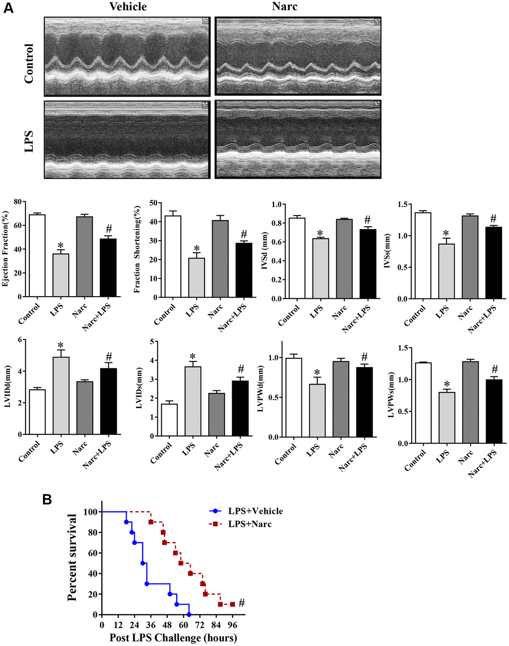 Narciclasine attenuates sepsis-induced myocardial injury by 